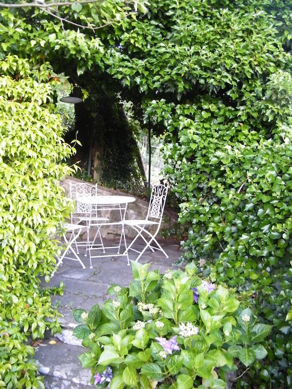 Authentic Chianti Stonehouse With Garden&Terrace Διαμέρισμα Greve in Chianti Δωμάτιο φωτογραφία